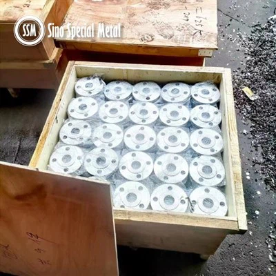 UNS N02200 JIS NW 2200 WNR 2.4066 Nickel 200 Forged Flange