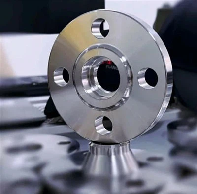 Forged Stainless Hlau A182 F304 Yeeb Nkab Flanges